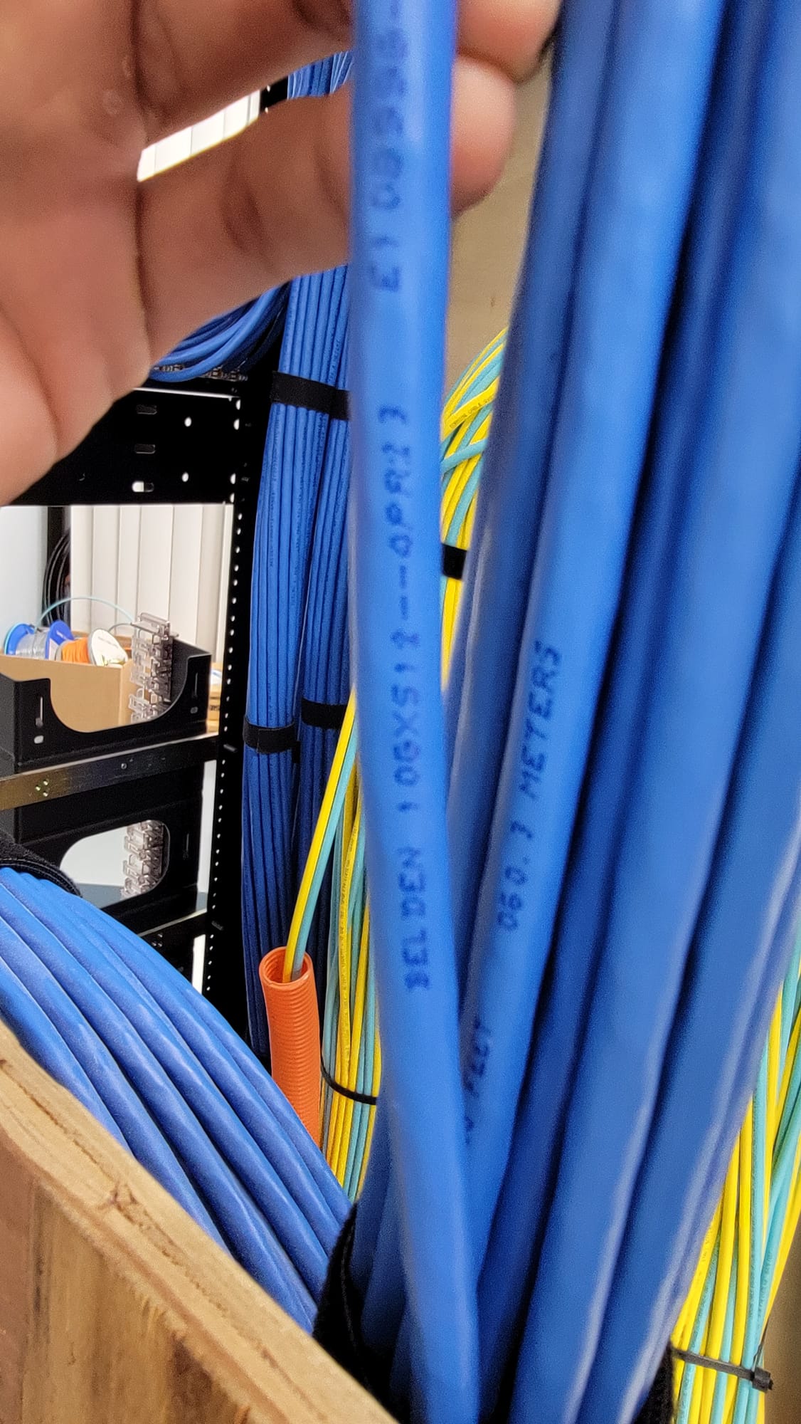 Hand holding labeled Belden Cat6 cable run at structured cabling rack with multiple blue Cat6 bundles routed cleanly through the frame